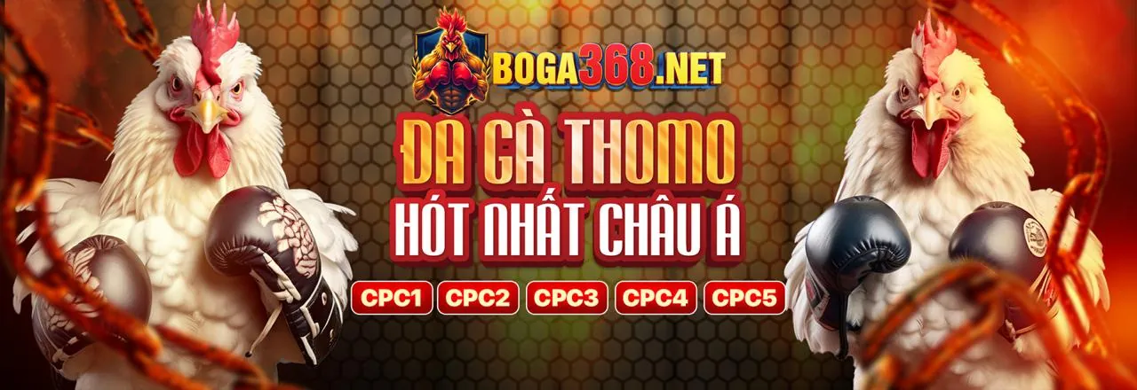 Giao diện ứng dụng sabong677 trên điện thoại, sẵn sàng để tải xuống